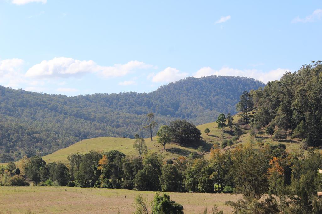 Greenlee Cottages Canungra Exteriör bild