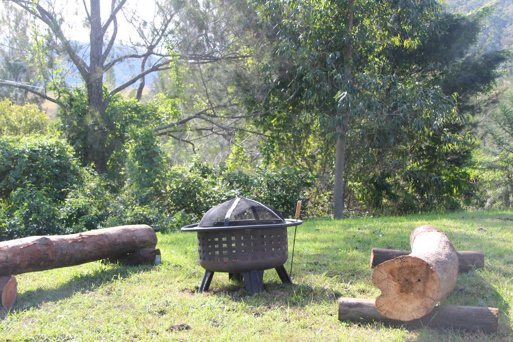 Greenlee Cottages Canungra Exteriör bild